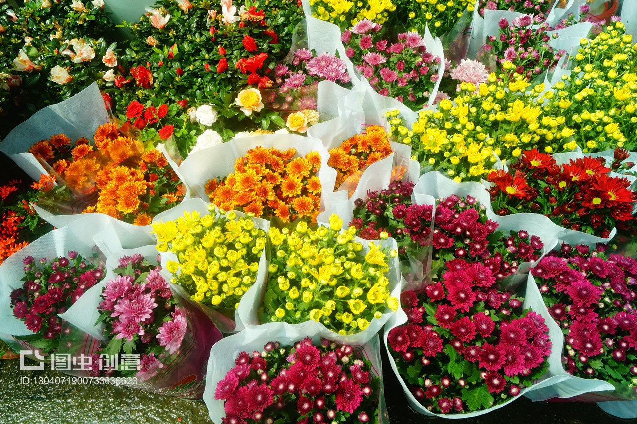 深圳花卉市場迎雙節(jié)，備足花卉植物盆景慶團圓