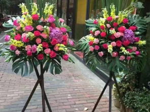 深圳鮮花綠植 婚慶展會布置與園藝設計的專業(yè)指南