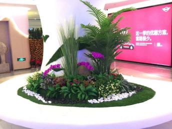 深圳辦公室花卉租擺與綠化養(yǎng)護服務，打造優(yōu)雅辦公環(huán)境