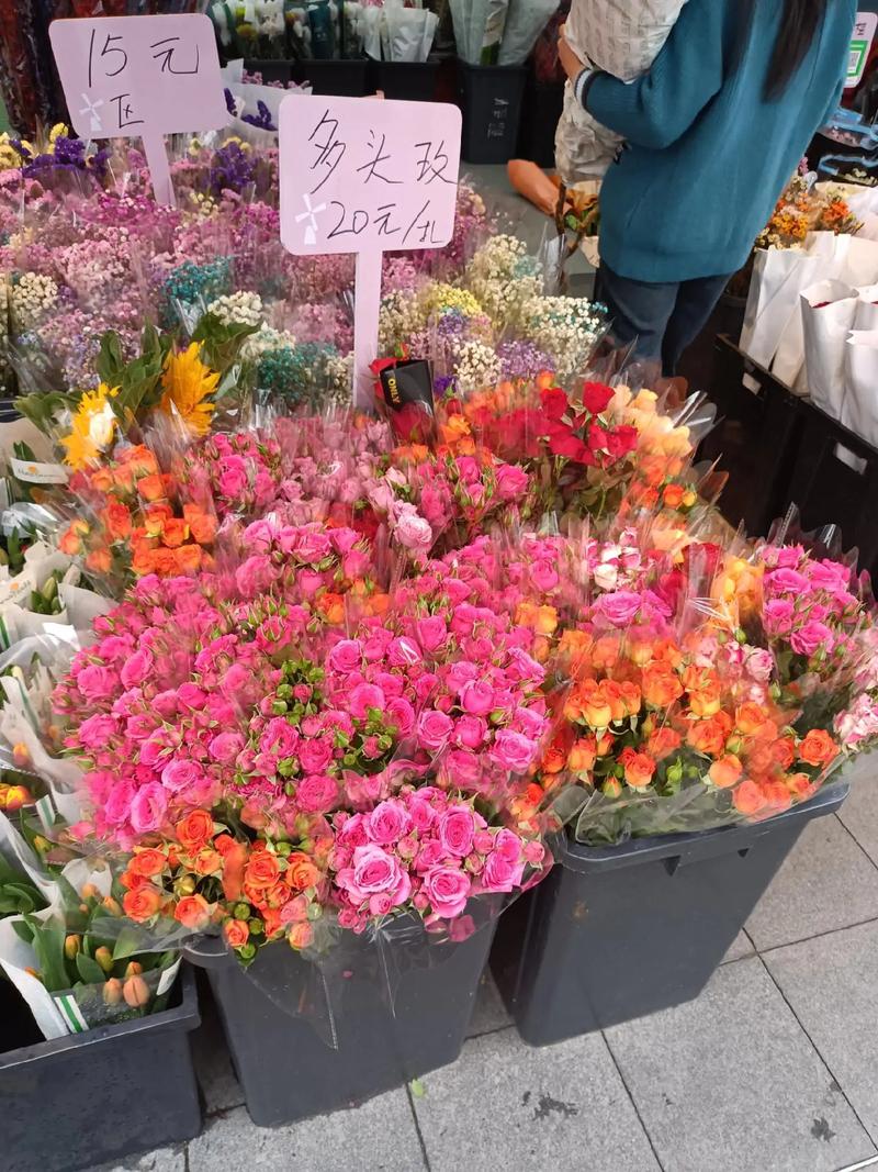 深圳荷蘭花卉小鎮 花的世界，花的海洋，群芳競艷百花齊放